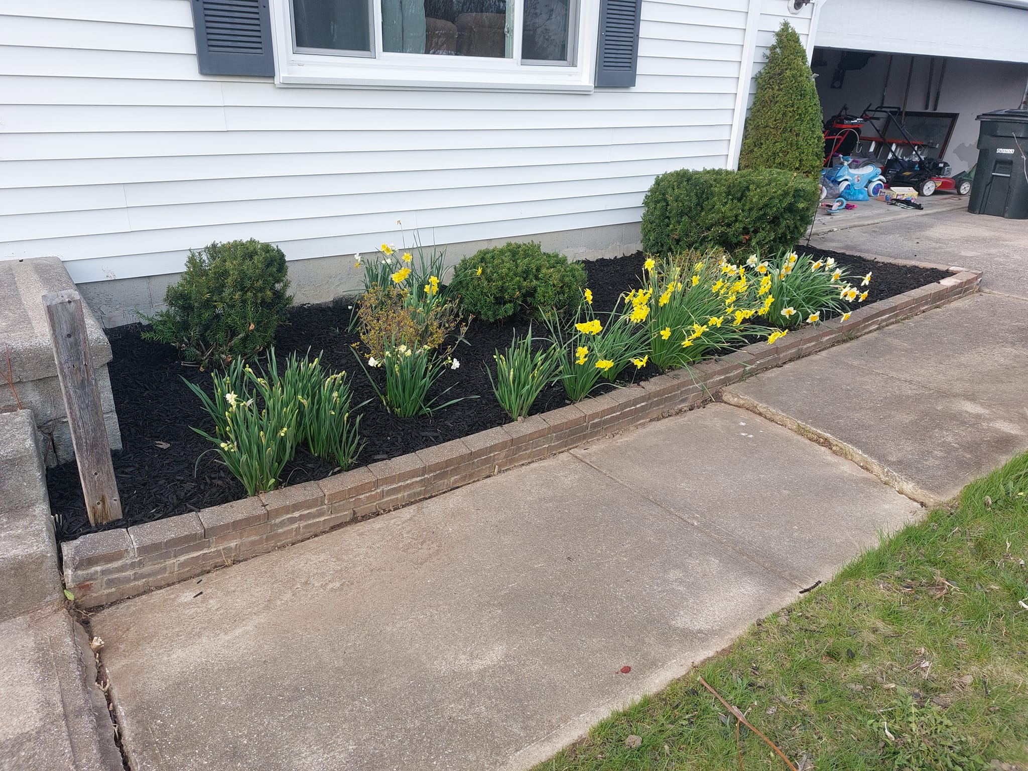 Cleaned up Flower bed